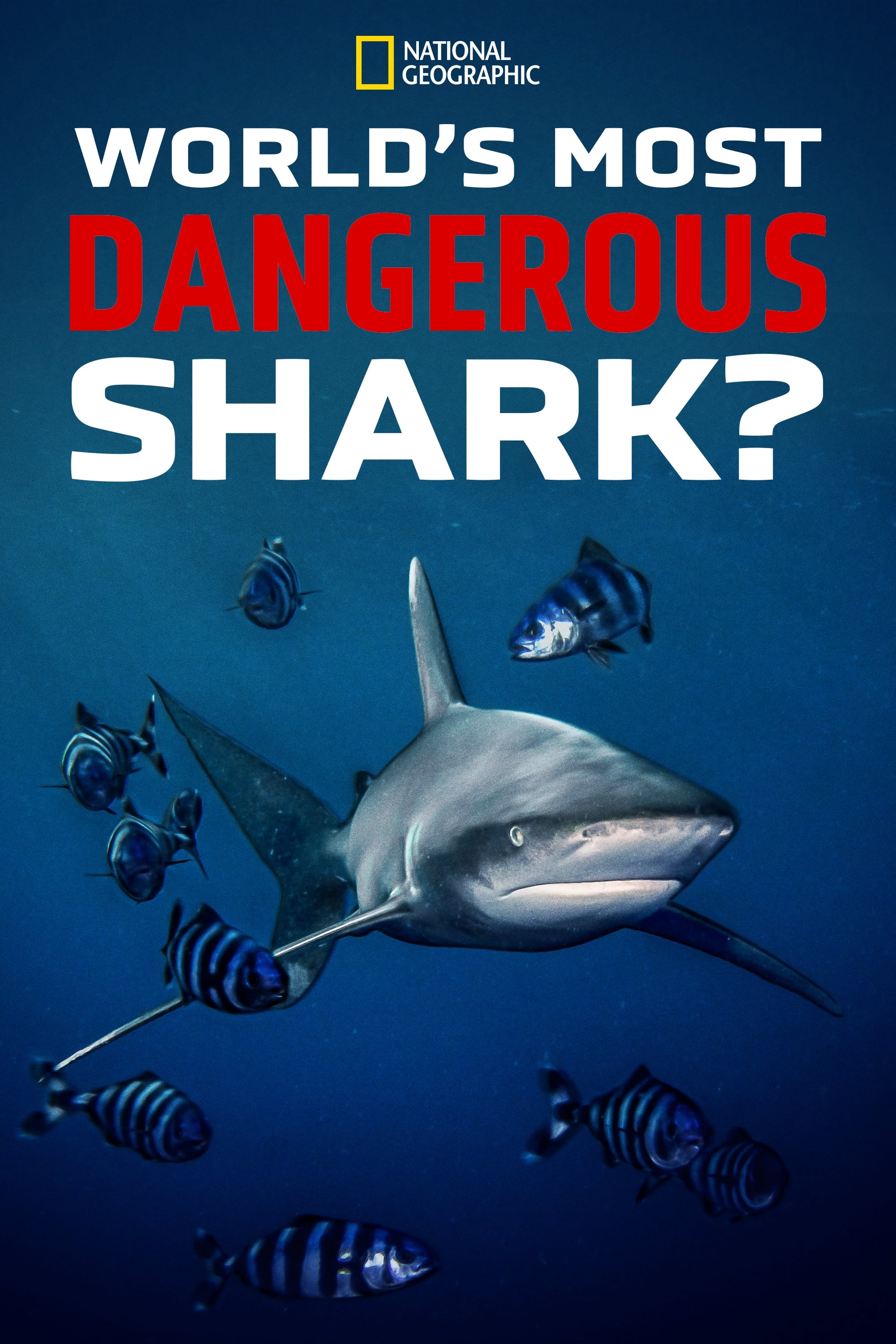 Worlds Most Dangerous Shark - Season 1
