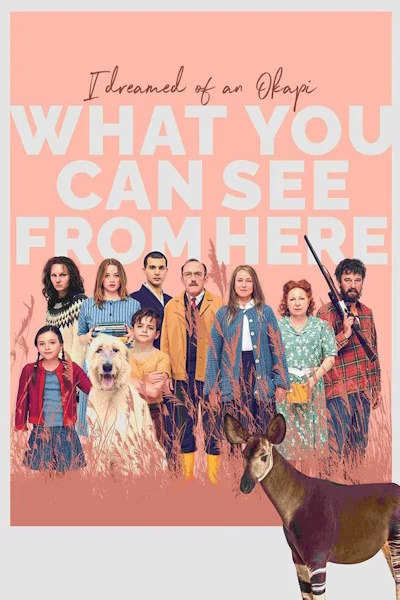 What You Can See from here (Was man von hier aus sehen kann)